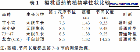 樱桃番茄的植物学性状比较