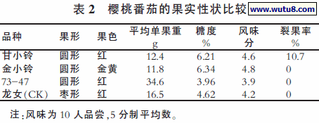 樱桃番茄的果实性状比较