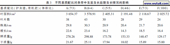 不同基质配比对条带中生菜生长后期生长情况的影响