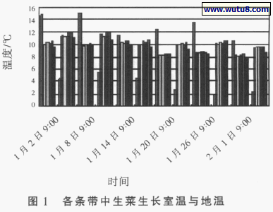 各条带中生菜生长室温与地温