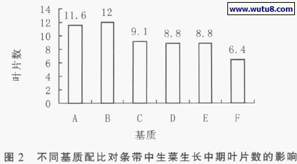 不同基质配比对条带中生菜生长中期叶片数的影响