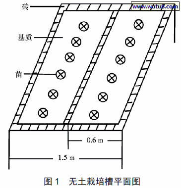 无土栽培槽平面图