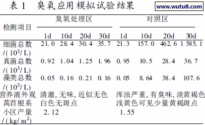 臭氧应用模拟试验结果
