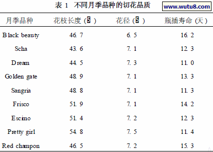 不同月季品种的切花品质