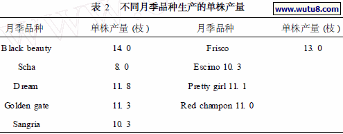 不同月季品种生产的单株产量
