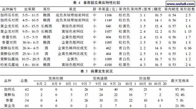 春茬甜瓜果实特性比较