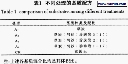 不同处理的基质配方