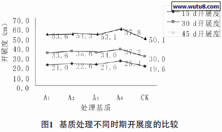 基质处理不同时期开展度的比较