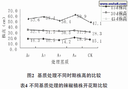 基质处理不同时期株高的比较