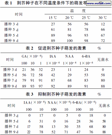 荆芥种子在不同温度条件下的萌发率