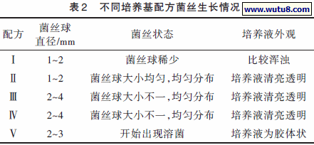 不同培养基配方菌丝生长情况