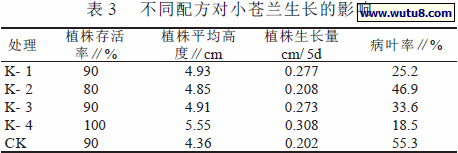 不同配方对小苍兰生长的影响