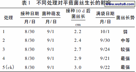 不同处理对平菇菌丝生长的影响