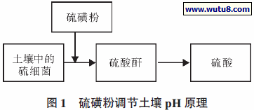 硫磺粉调节土壤pH 原理