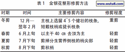 金银花整形修剪方法