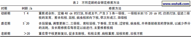 不同花龄的金银花修剪方法