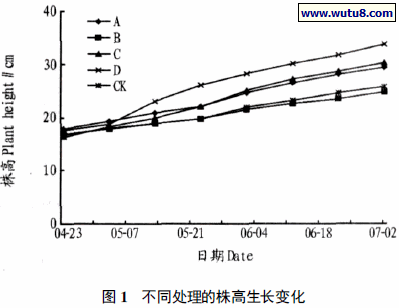 不同处理的株高生长变化