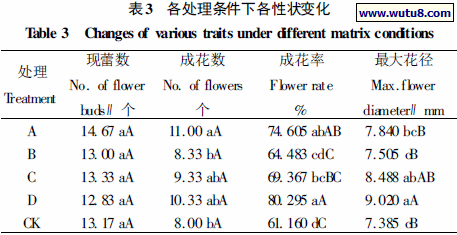 各处理条件下各性状变化