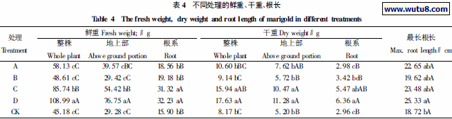 不同处理的鲜重、干重、根长