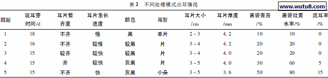 不同处理模式出耳情况