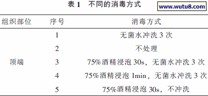 不同的消毒方式
