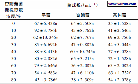 不同浓度的杏鲍菇菌糠提取液对3 种食用菌菌球密度的影响