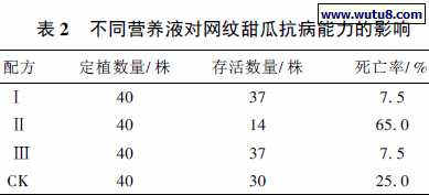 不同营养液对网纹甜瓜抗病能力的影响