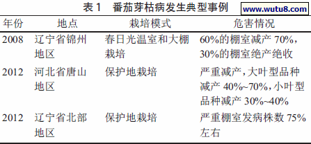 番茄芽枯病发生典型事例