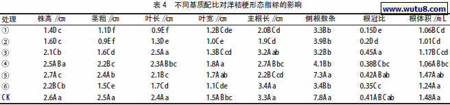 不同基质配比对洋桔梗形态指标的影响