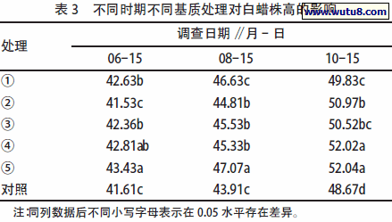 不同时期不同基质处理对白蜡株高的影响