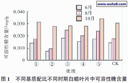 不同基质配比不同时期白蜡叶片中可溶性糖含量