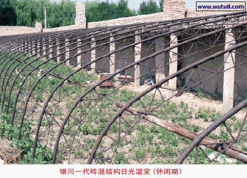 银川一代砖混结构日光温室（休闲期）