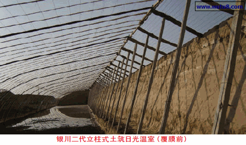 银川二代立柱式土筑日光温室（覆膜前）
