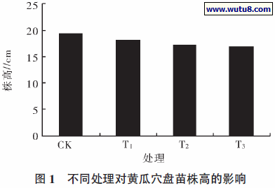 不同处理对黄瓜穴盘苗株高的影响