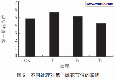 不同处理对第一雌花节位的影响