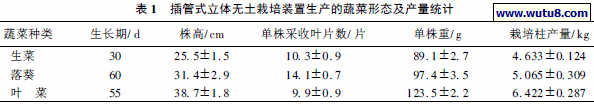 插管式立体无土栽培装置生产的蔬菜形态及产量统计