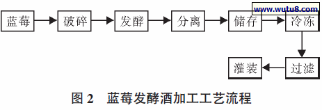 蓝莓发酵酒加工工艺流程