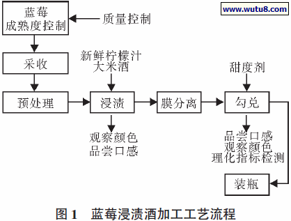 蓝莓浸渍酒加工工艺流程