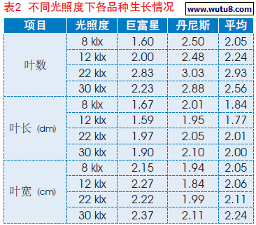 不同光照度下各品种生长情况