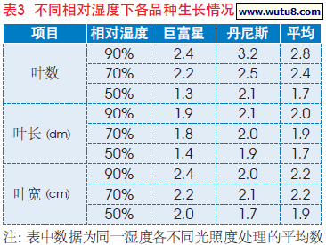 不同相对湿度下各品种生长情况
