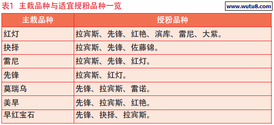 主栽品种与适宜授粉品种一览