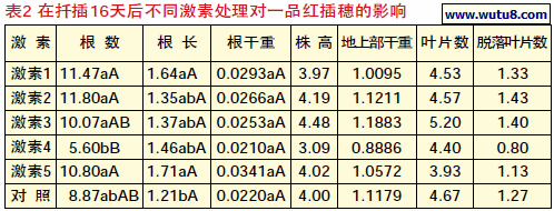 在扦插16天后不同激素处理对一品红插穗的影响