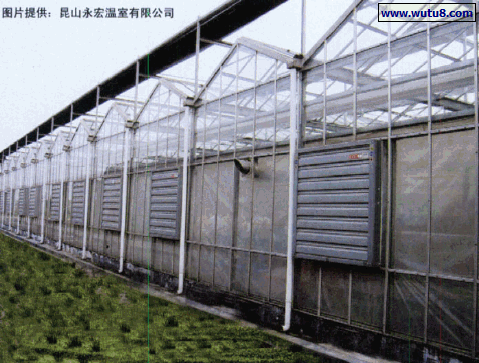 大棚温室