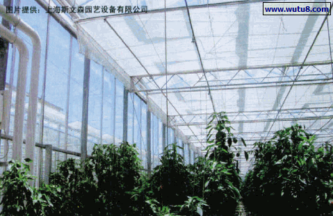 大棚温室