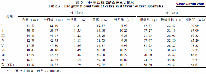 不同基质栽培的西芹生长情况