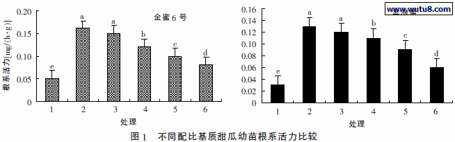 不同配比基质甜瓜幼苗根系活力比较