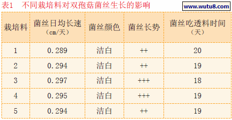 不同栽培料对双孢菇菌丝生长的影响
