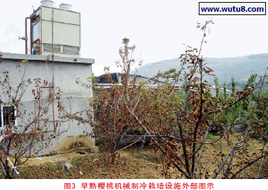 早熟樱桃机械制冷栽培设施外部图示