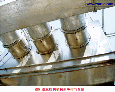 设施樱桃机械制冷排气管