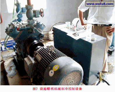 设施樱桃机械制冷控制设备